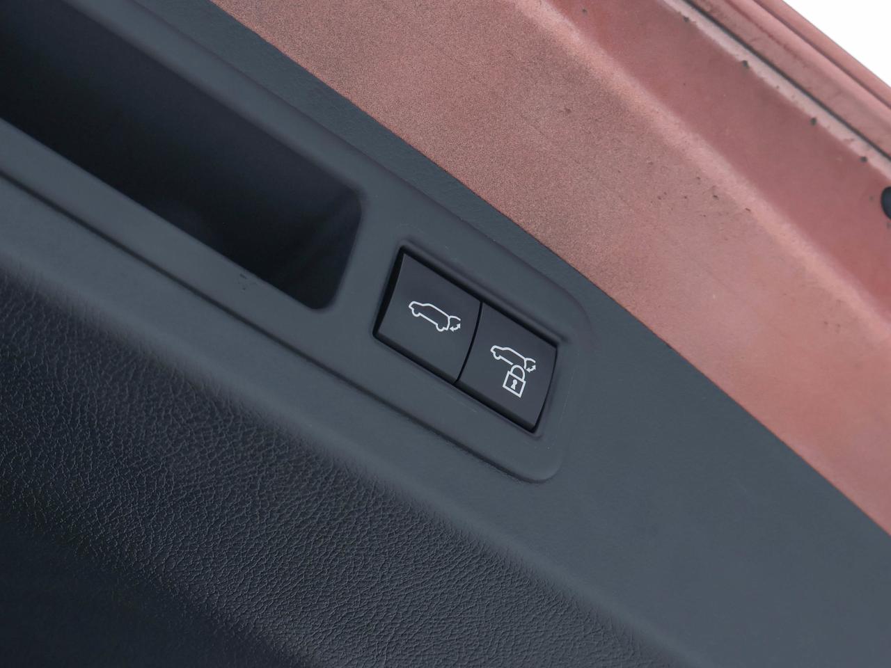 2024 Lexus RX RX 500H Photo