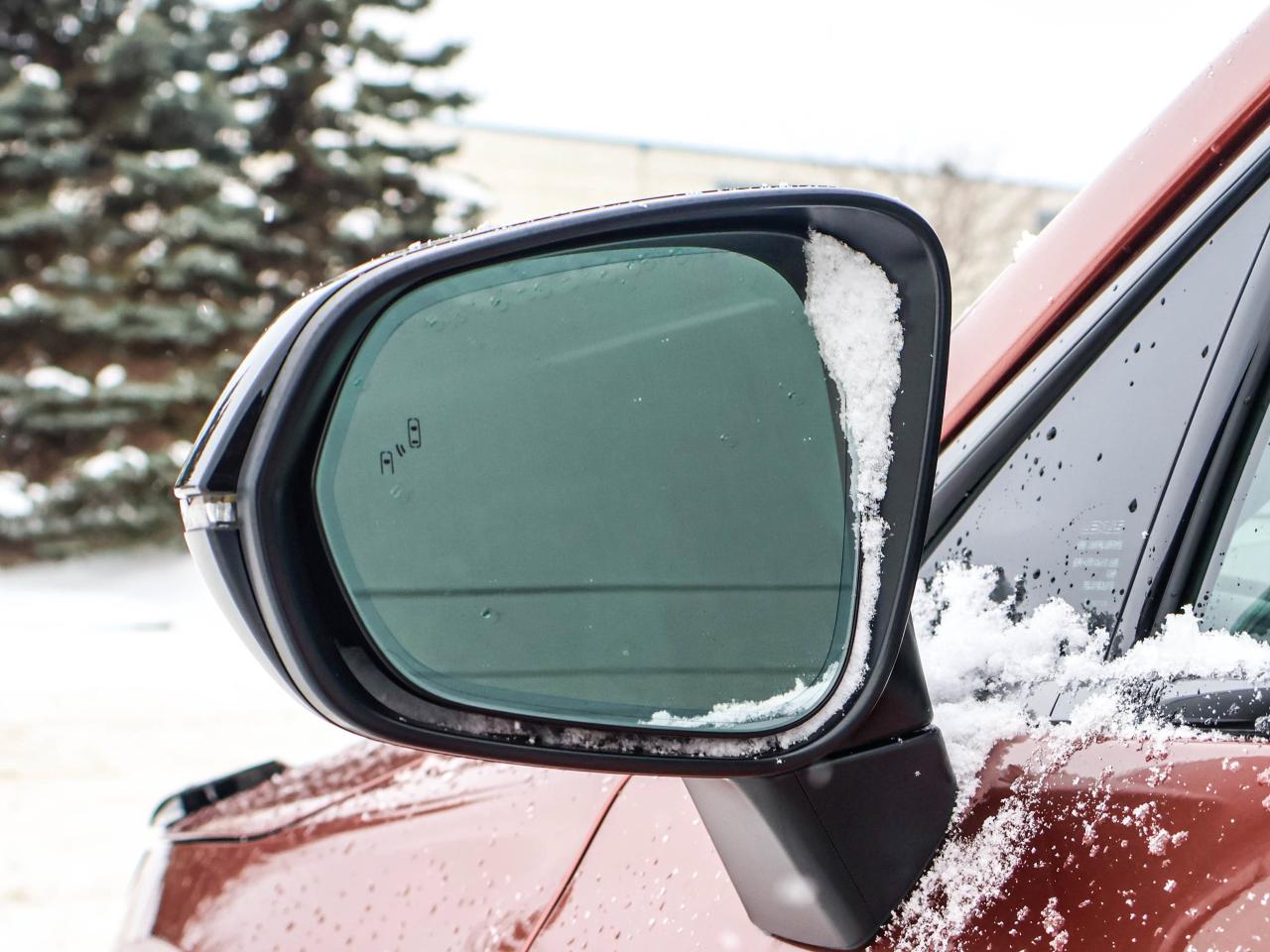 2024 Lexus RX RX 500H Photo