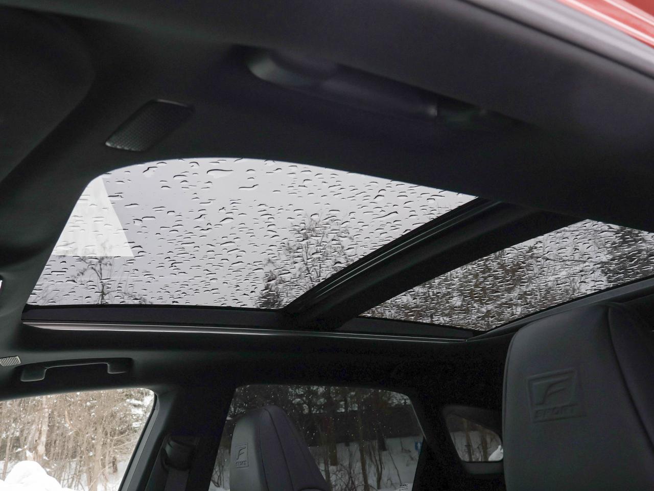 2024 Lexus RX RX 500H Photo