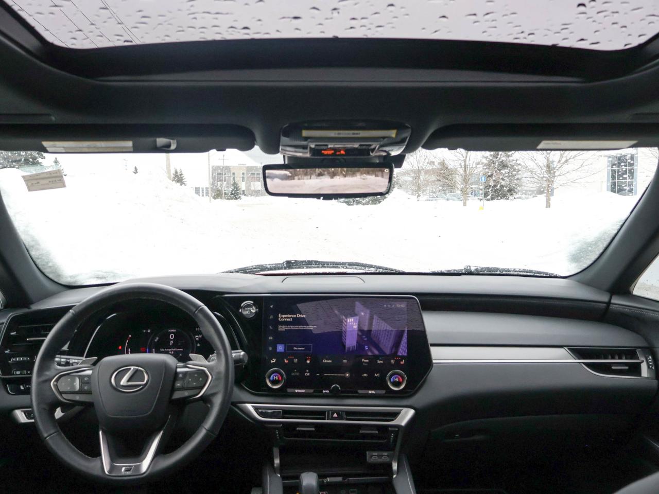 2024 Lexus RX RX 500H Photo