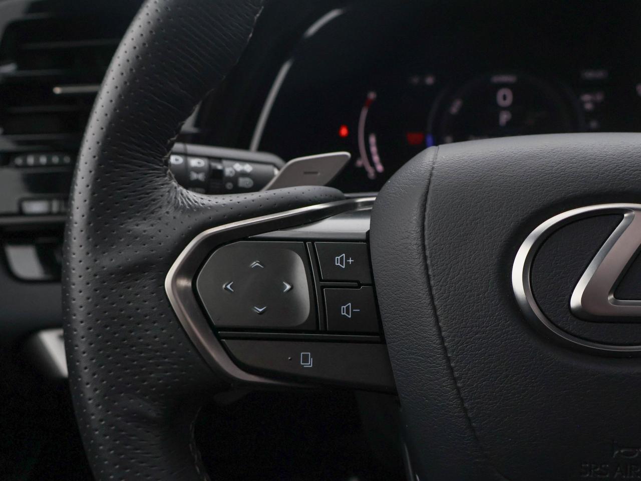 2024 Lexus RX RX 500H Photo