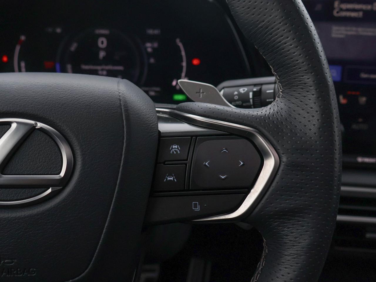 2024 Lexus RX RX 500H Photo