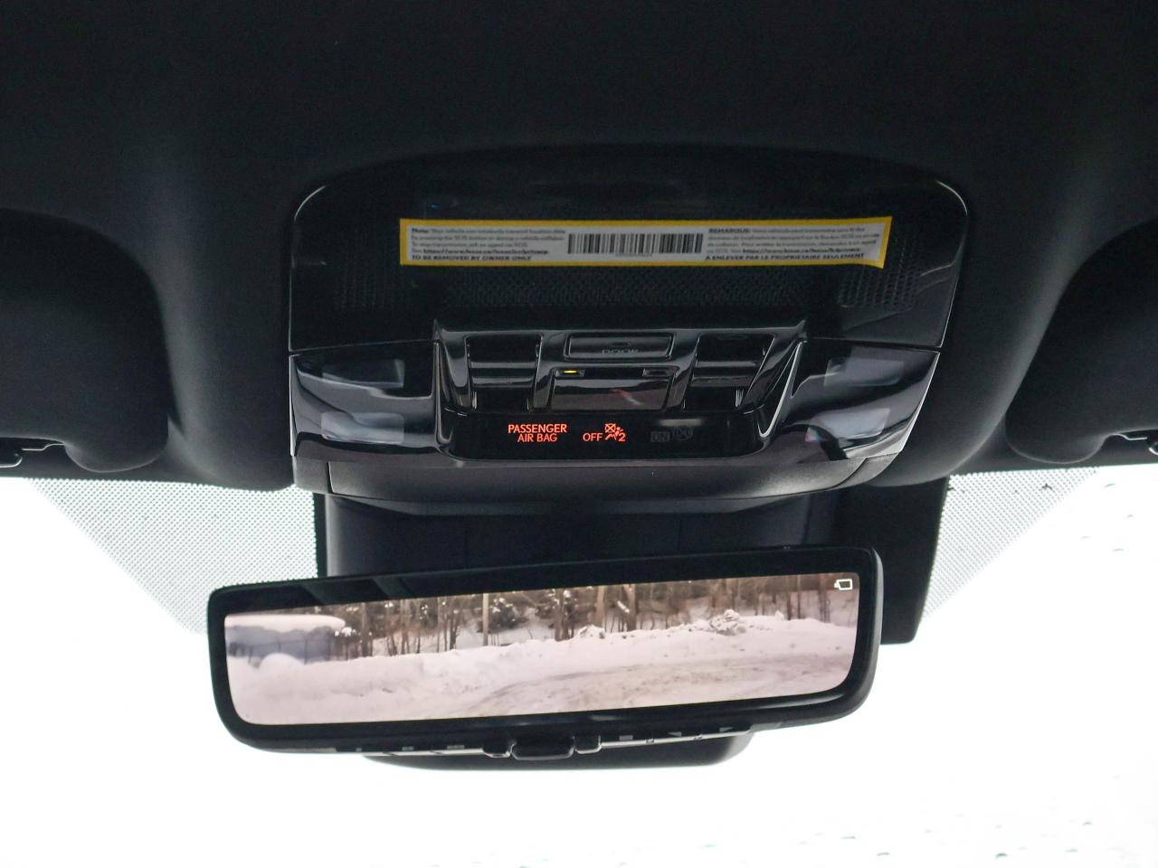 2024 Lexus RX RX 500H Photo