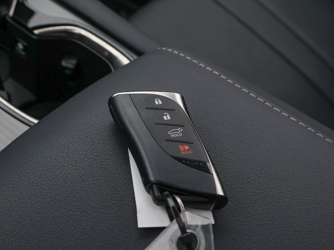 2024 Lexus RX RX 500H Photo