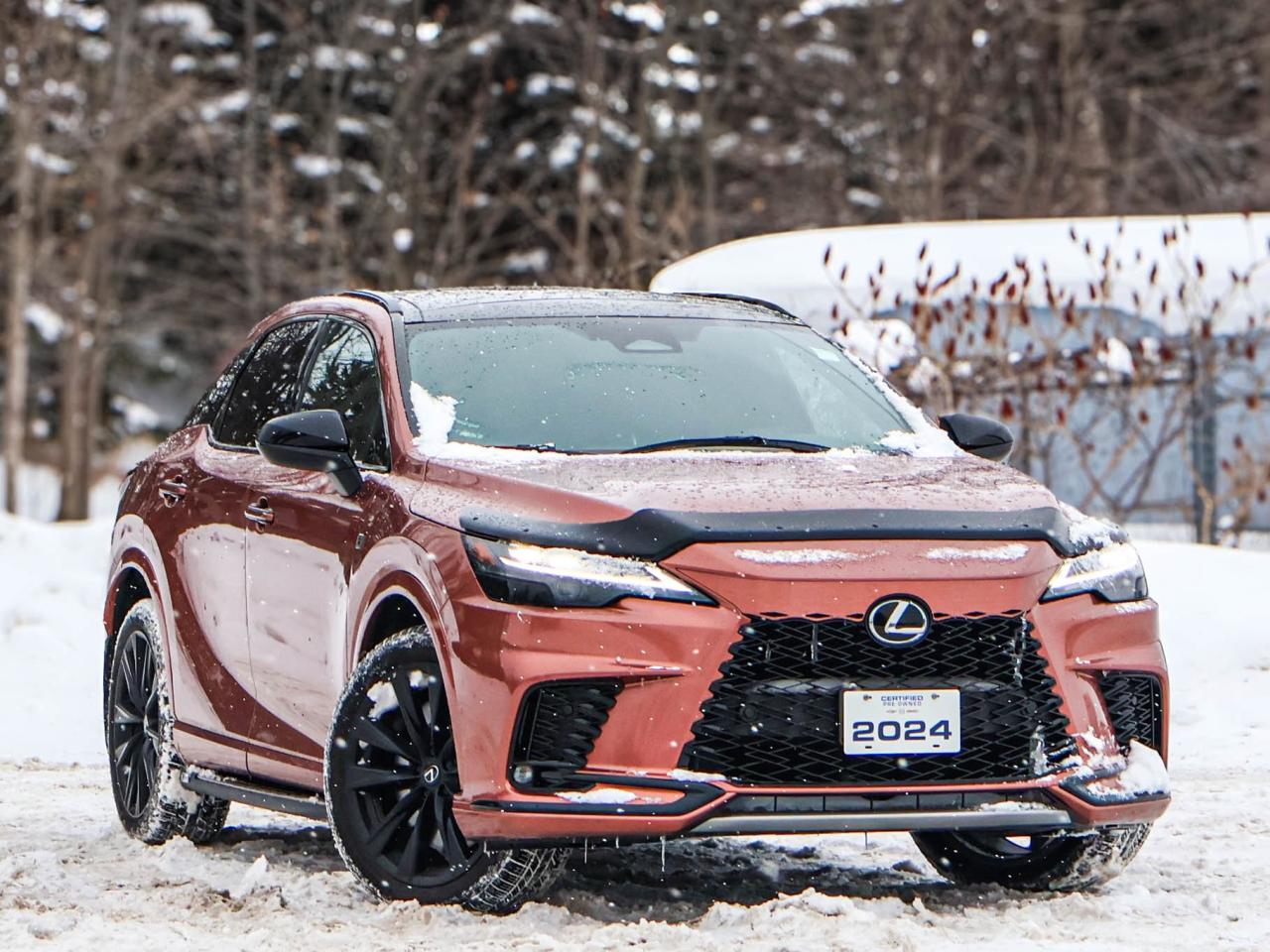 2024 Lexus RX RX 500H Photo