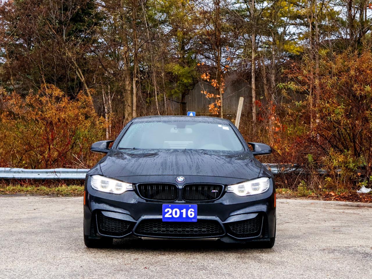 2016 BMW M4 2DR CPE Photo