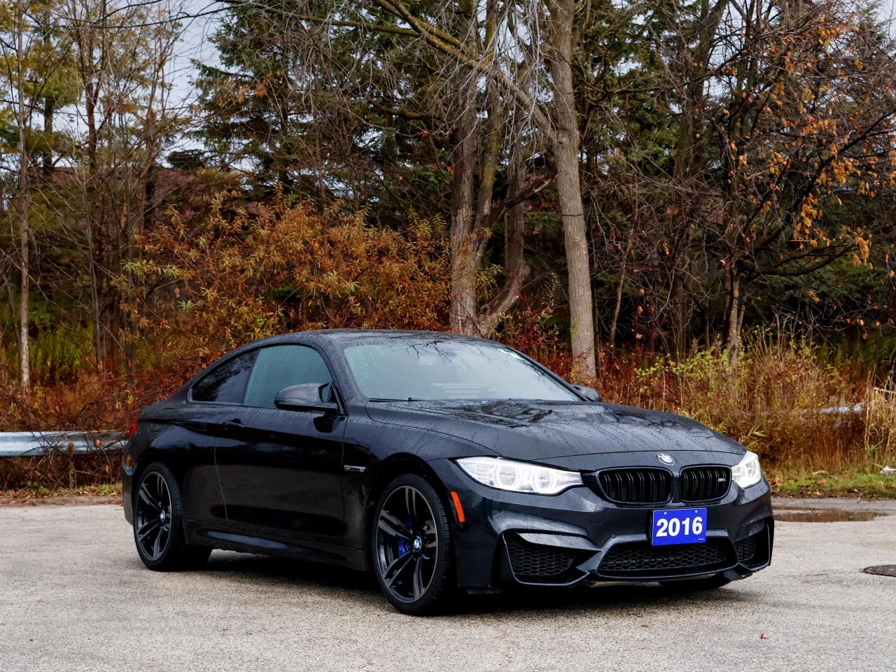 2016 BMW M4 2DR CPE Photo4