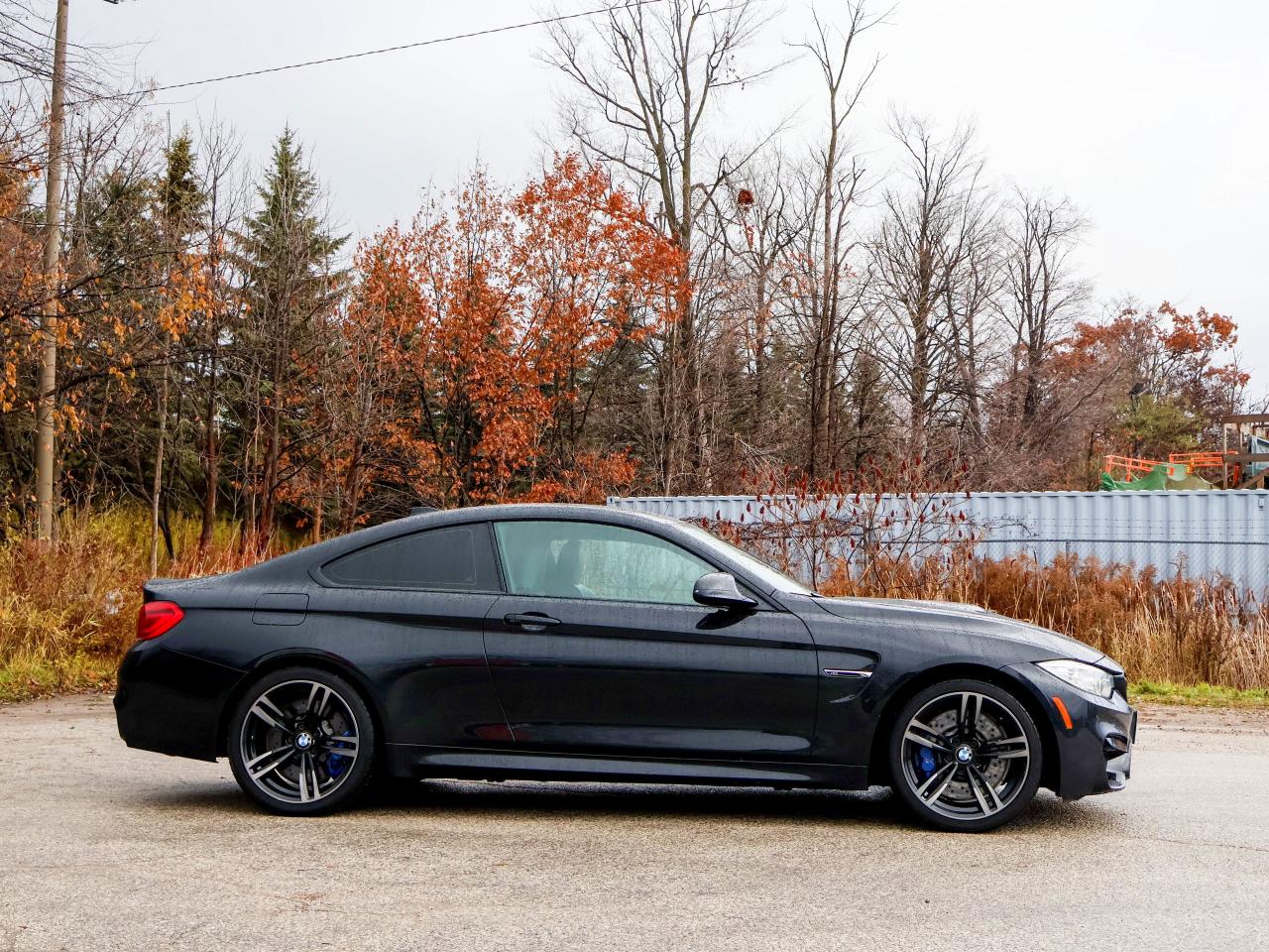 2016 BMW M4 2DR CPE Photo