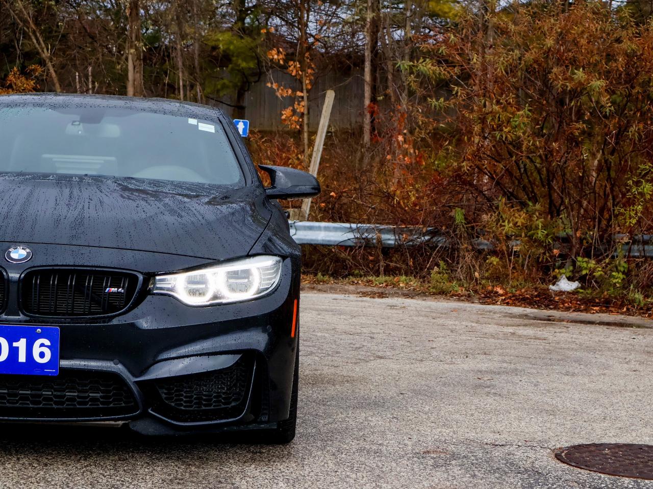 2016 BMW M4 2DR CPE Photo