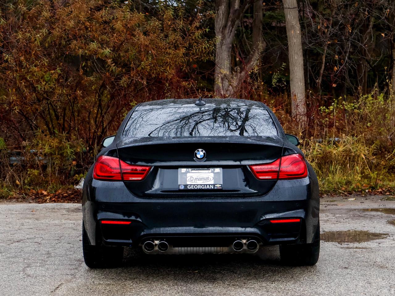 2016 BMW M4 2DR CPE Photo