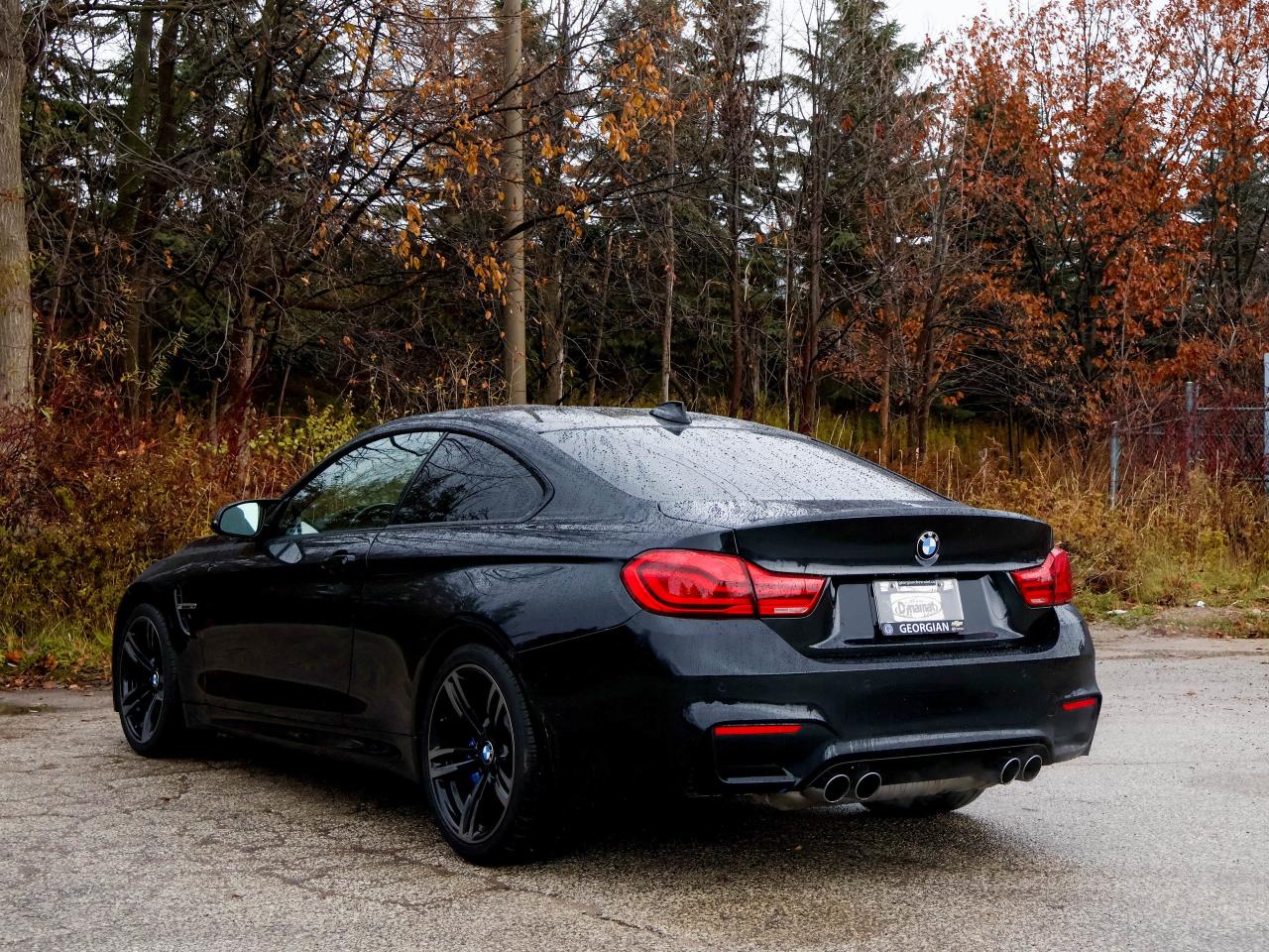 2016 BMW M4 2DR CPE Photo