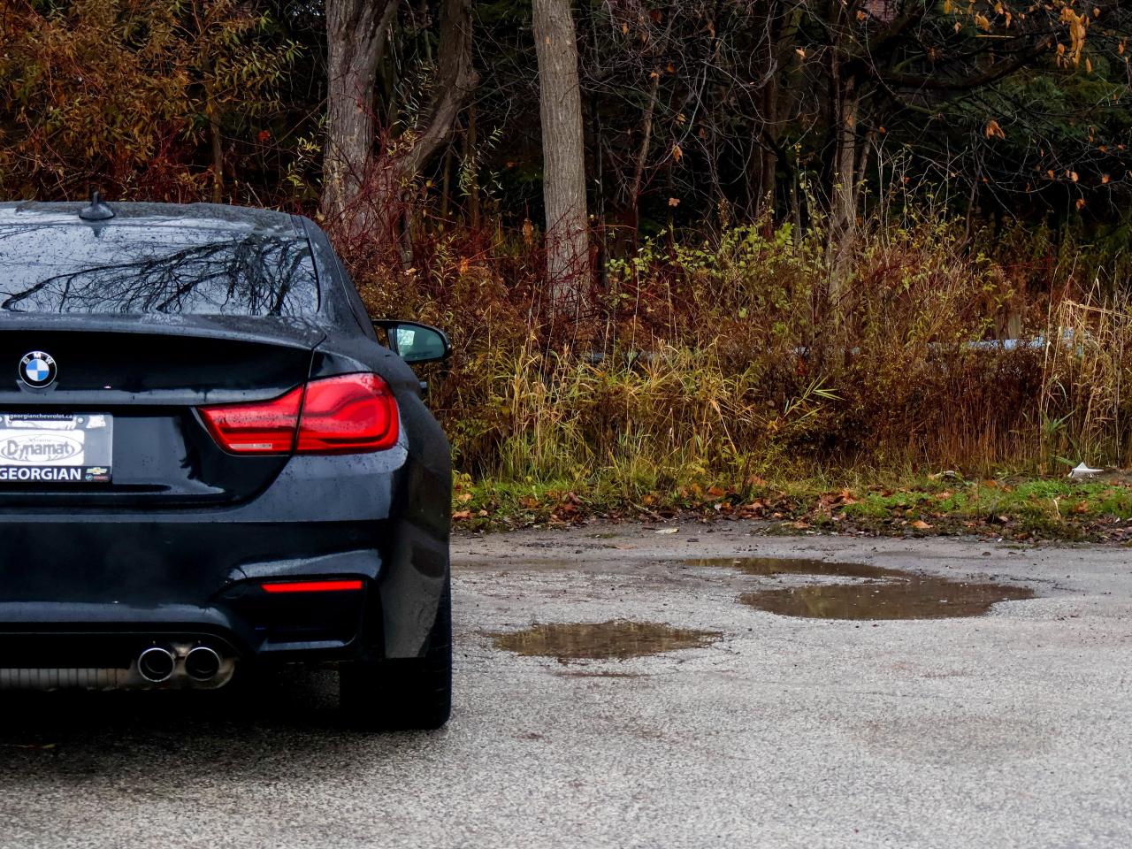 2016 BMW M4 2DR CPE Photo