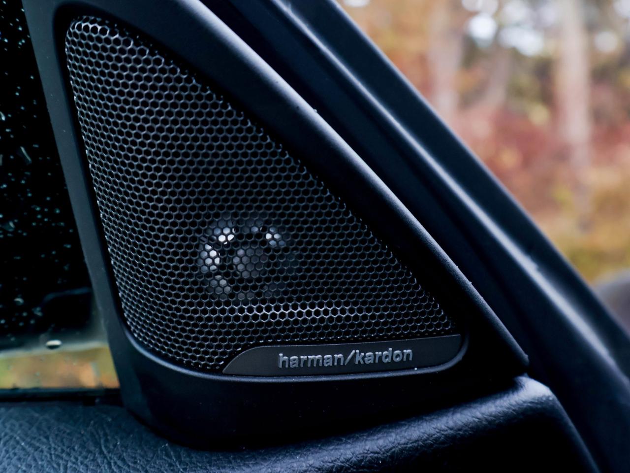 2016 BMW M4 2DR CPE Photo