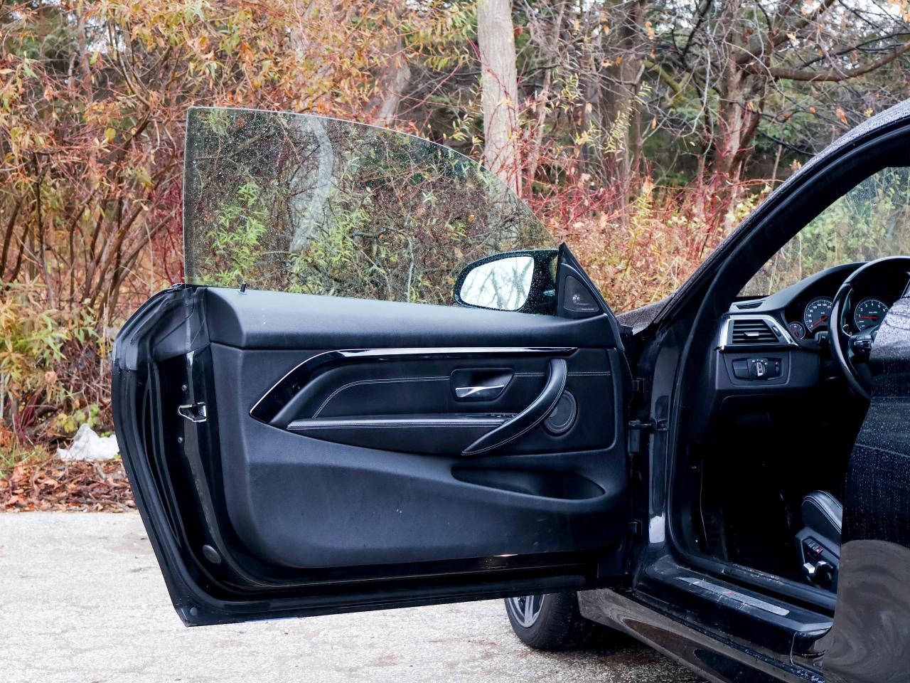 2016 BMW M4 2DR CPE Photo