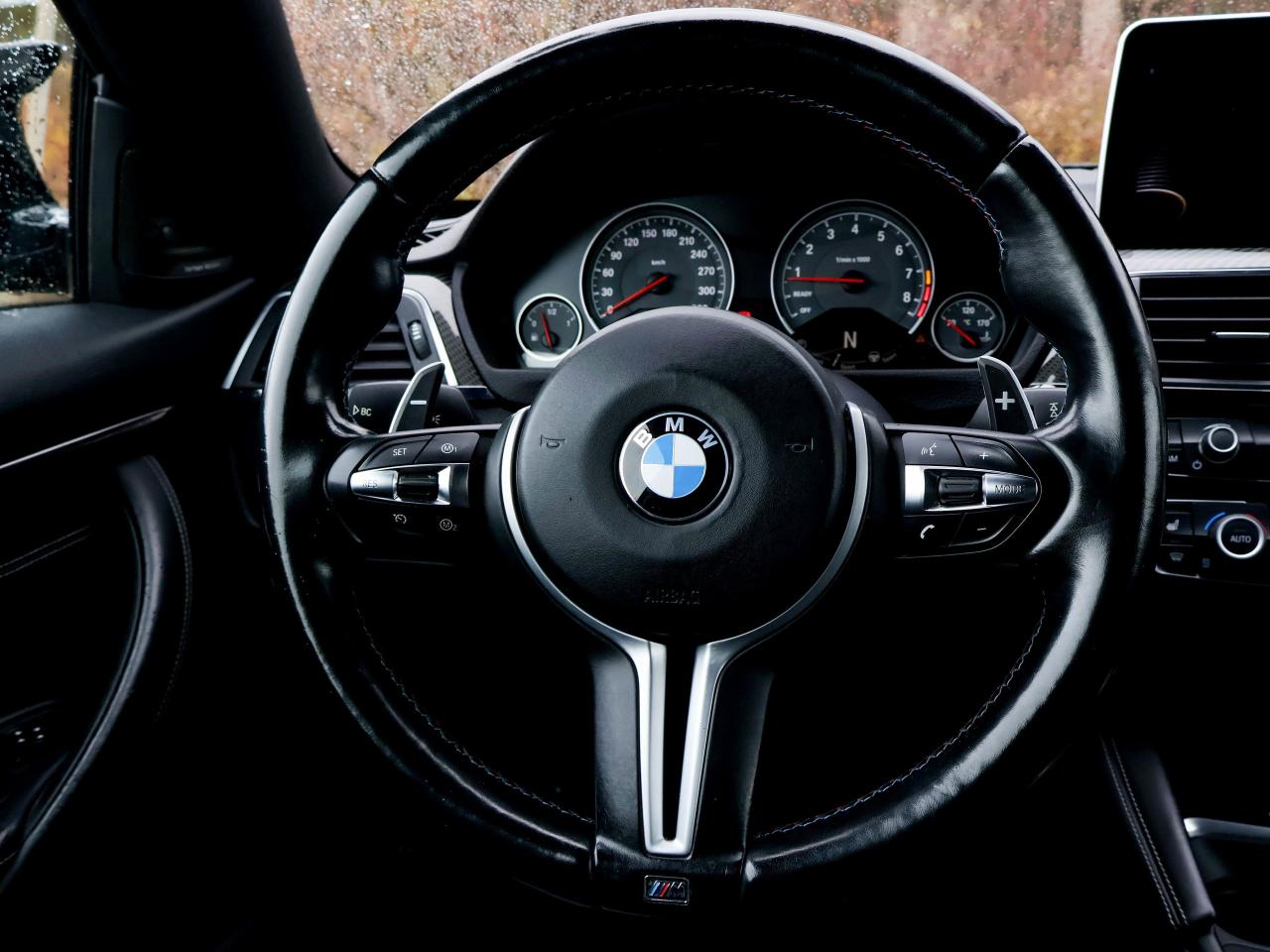 2016 BMW M4 2DR CPE Photo