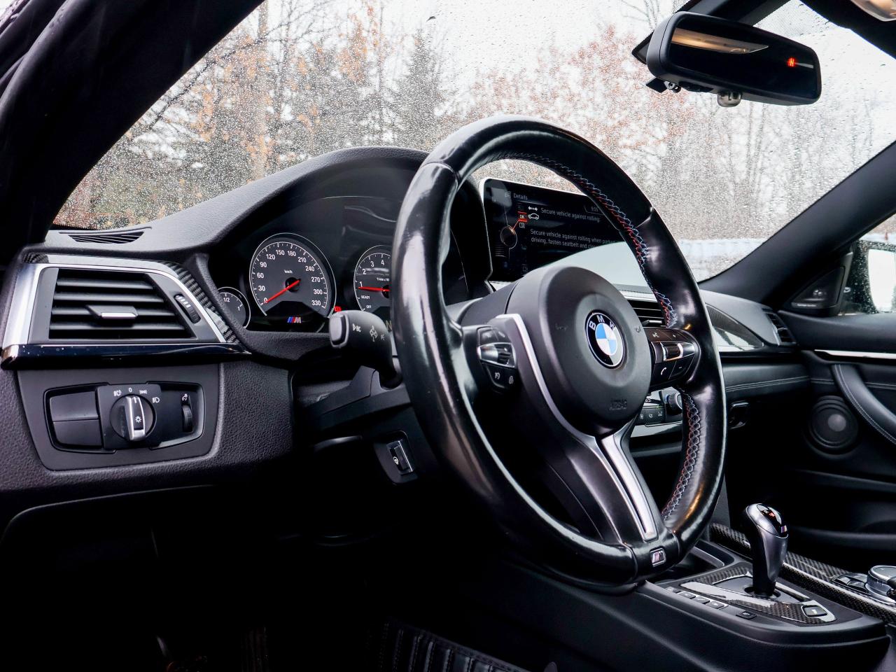 2016 BMW M4 2DR CPE Photo