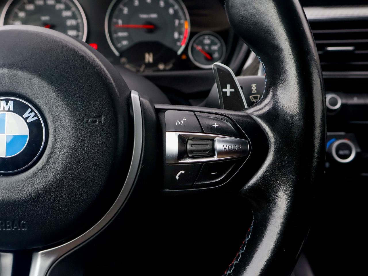 2016 BMW M4 2DR CPE Photo