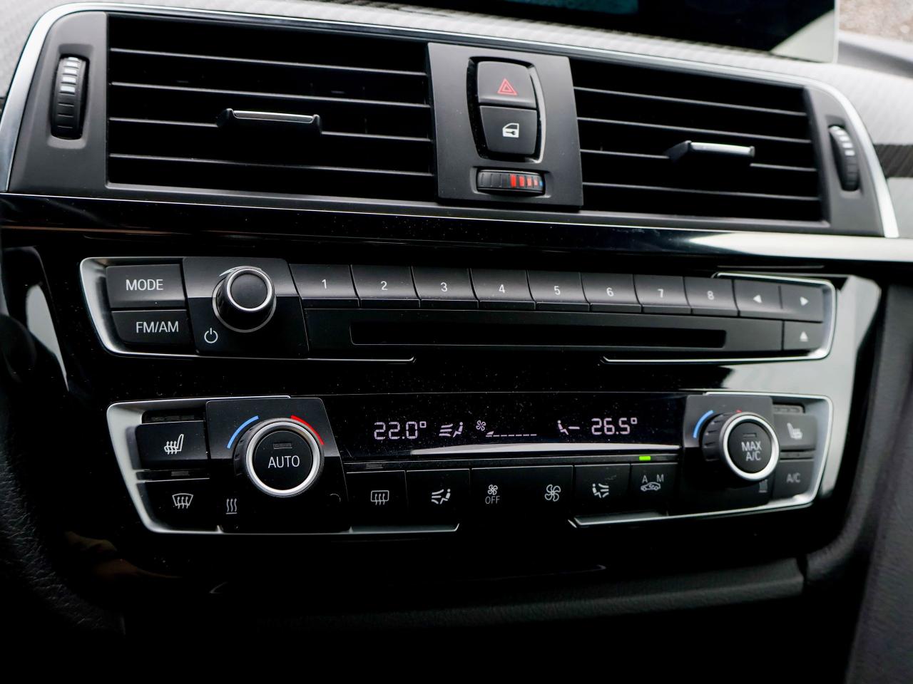 2016 BMW M4 2DR CPE Photo