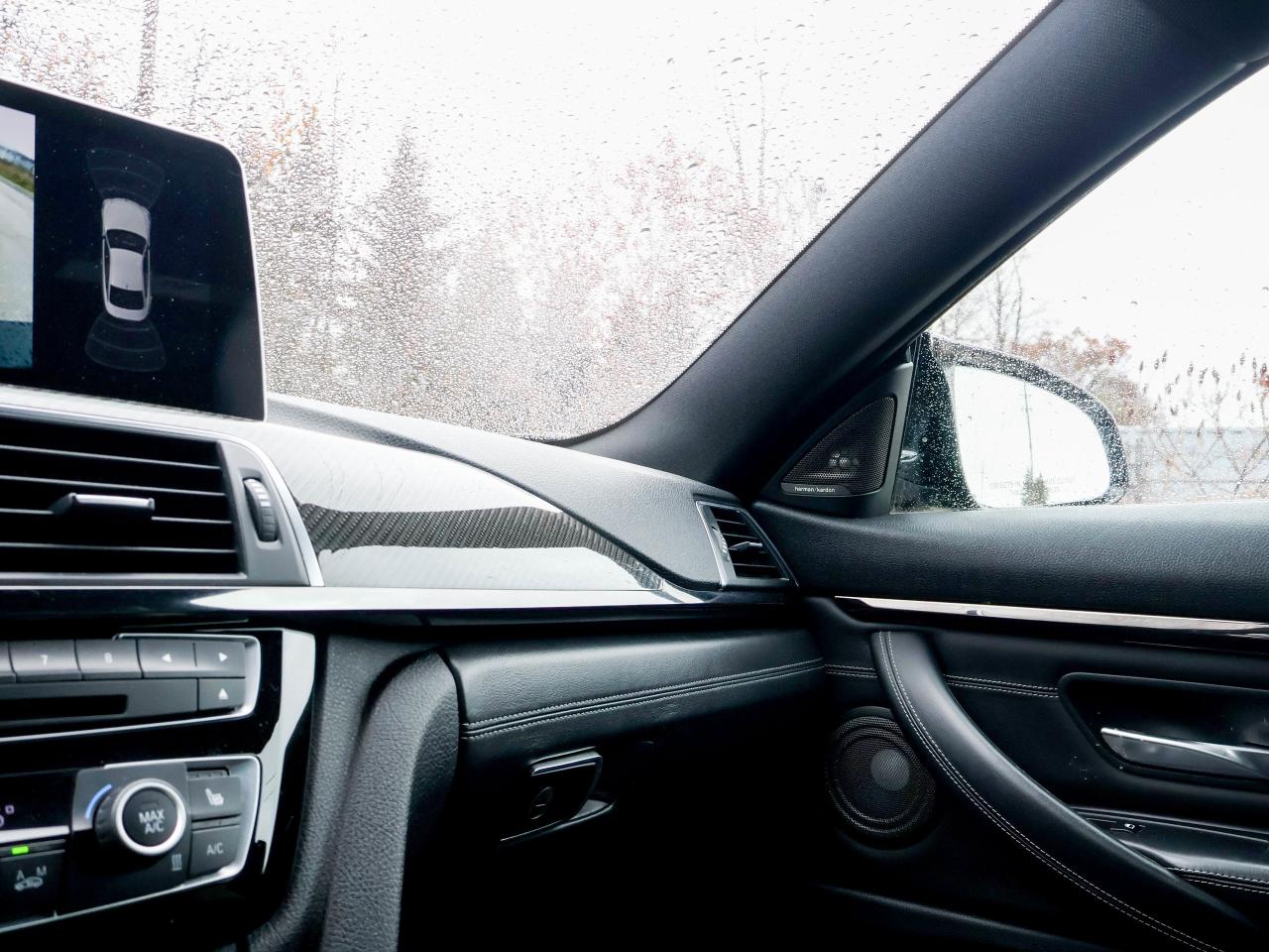 2016 BMW M4 2DR CPE Photo