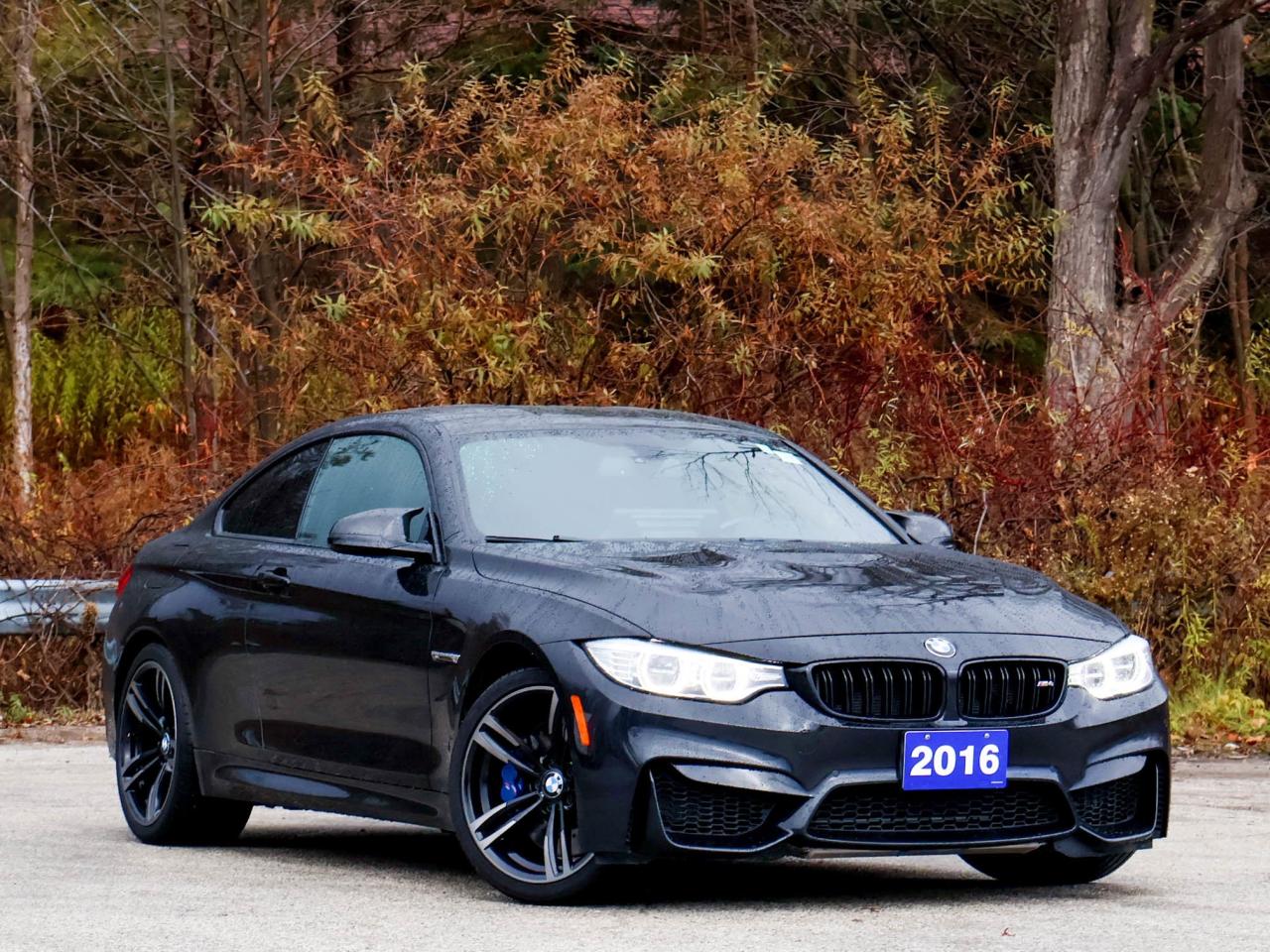 2016 BMW M4 2DR CPE Photo