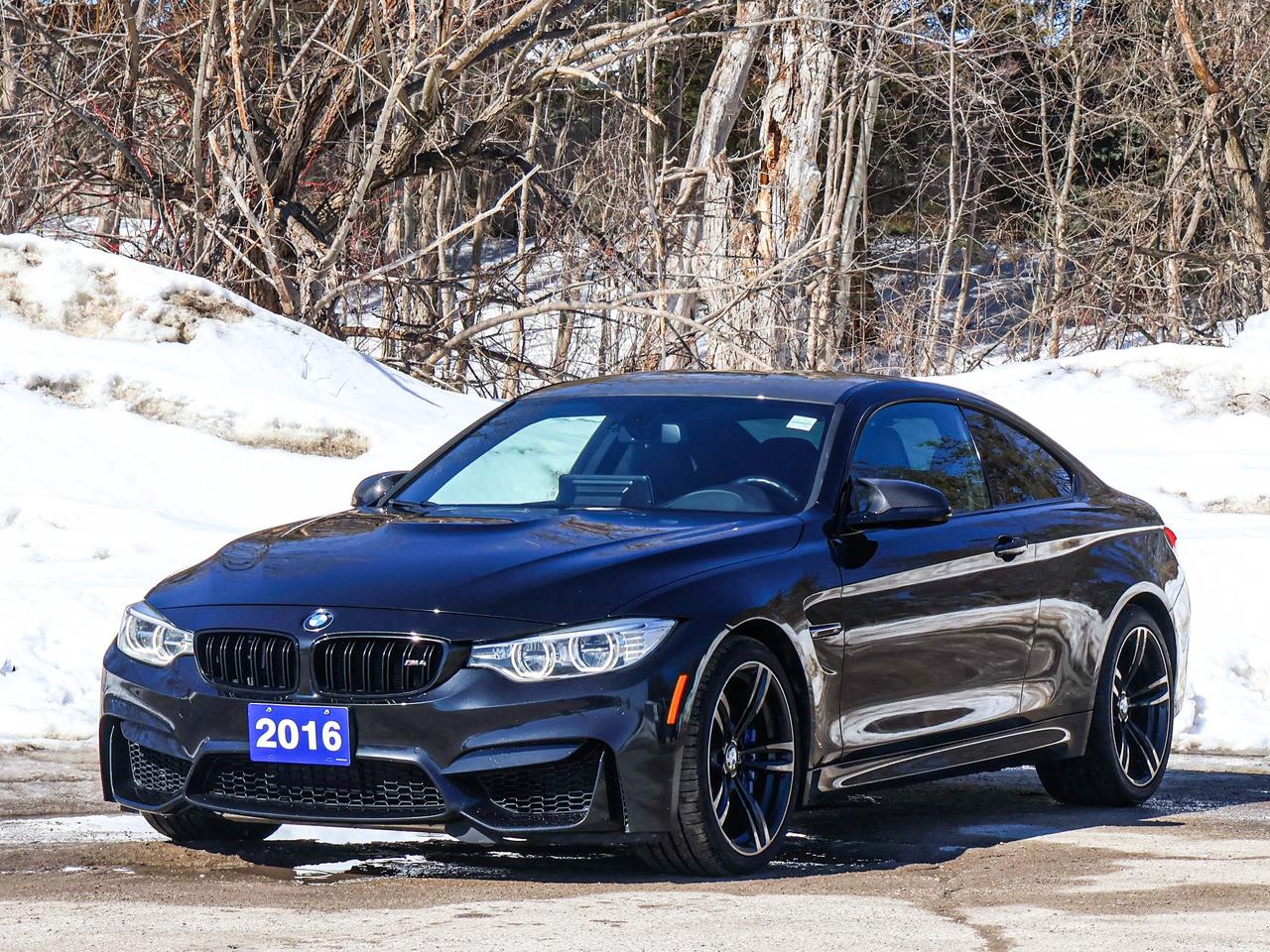 2016 BMW M4 2DR CPE Photo