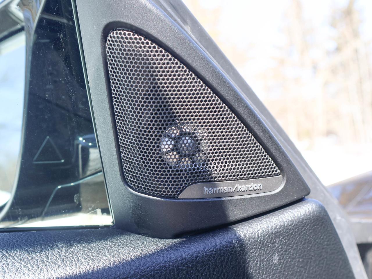 2016 BMW M4 2DR CPE Photo