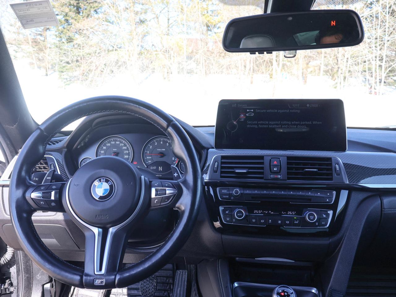 2016 BMW M4 2DR CPE Photo