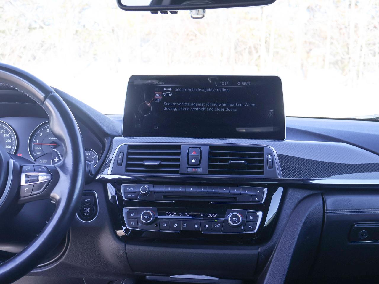 2016 BMW M4 2DR CPE Photo