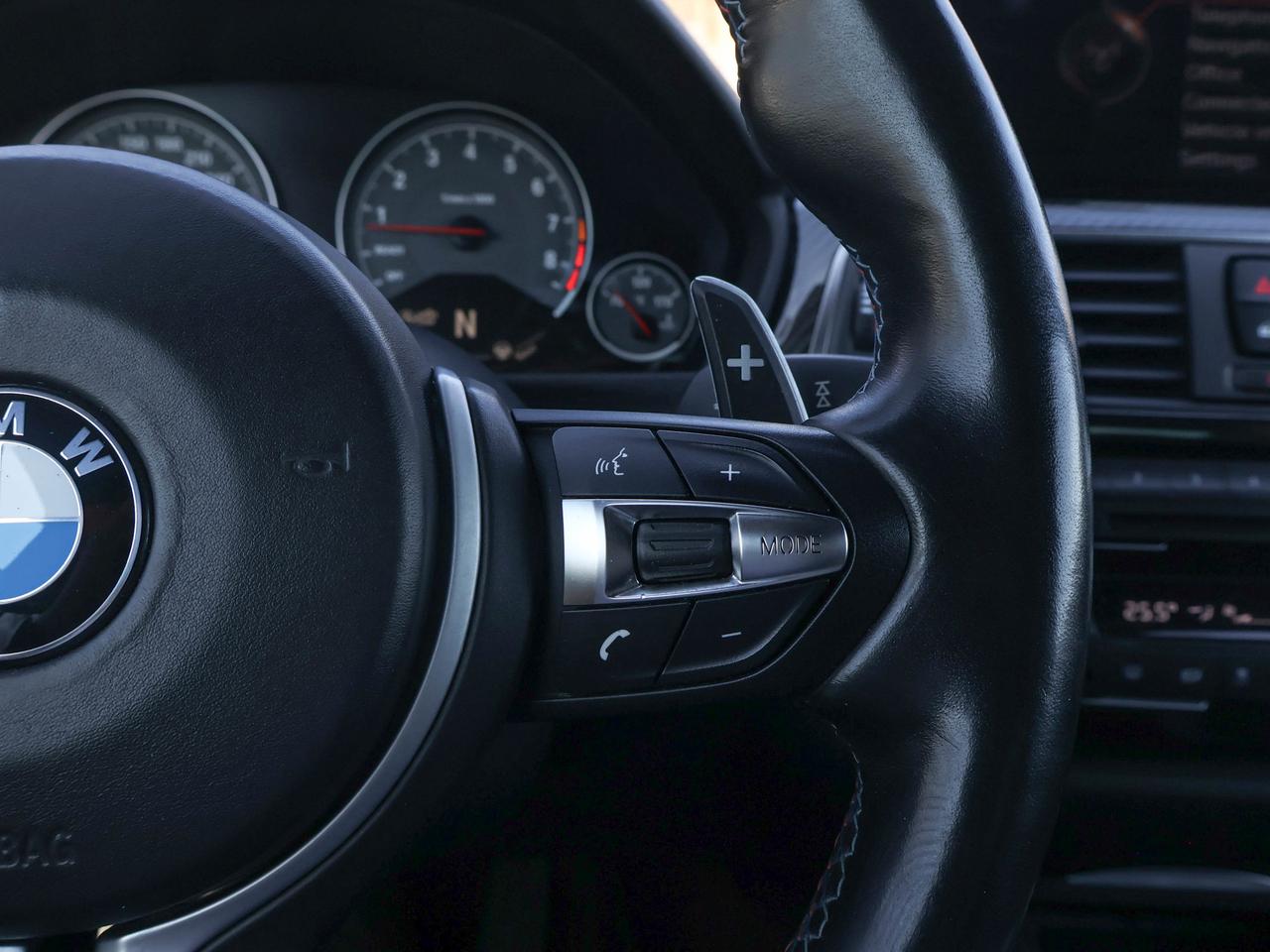 2016 BMW M4 2DR CPE Photo