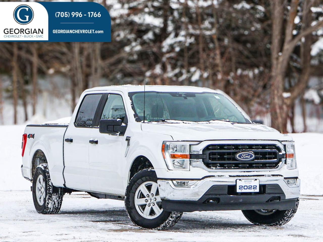 2022 Ford F-150 XL Photo