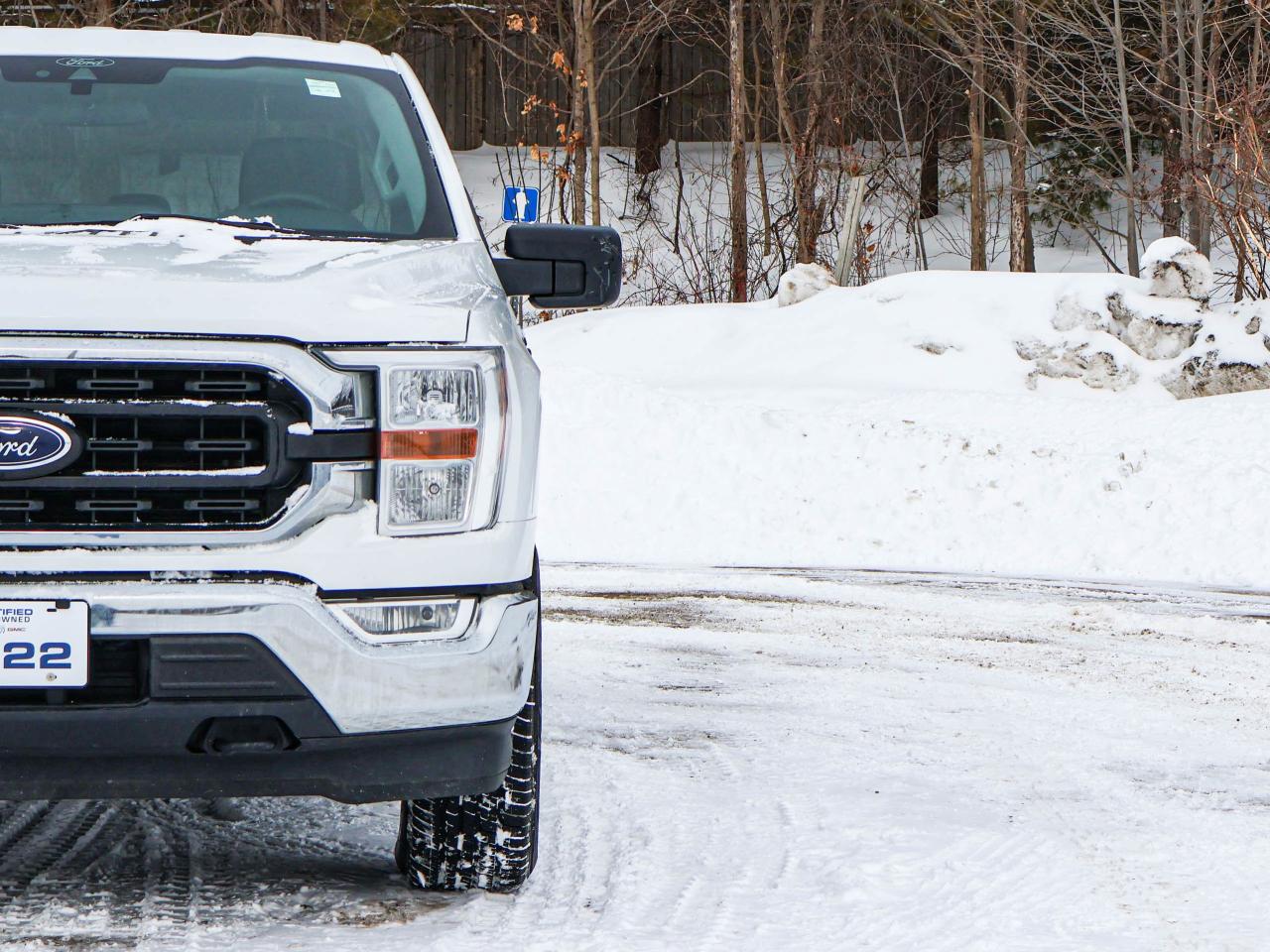 2022 Ford F-150 XL Photo