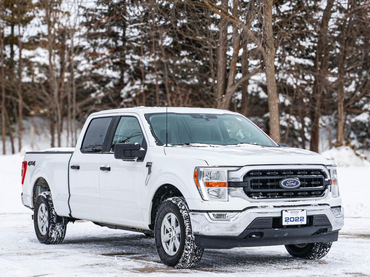 2022 Ford F-150 XL Photo3