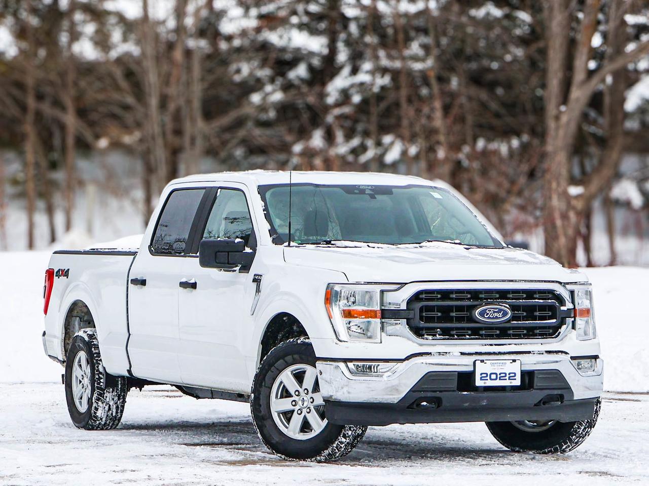 2022 Ford F-150 XLT Photo
