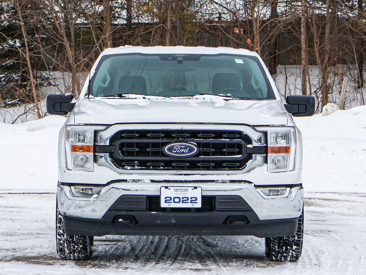 2022 Ford F-150 XLT Photo
