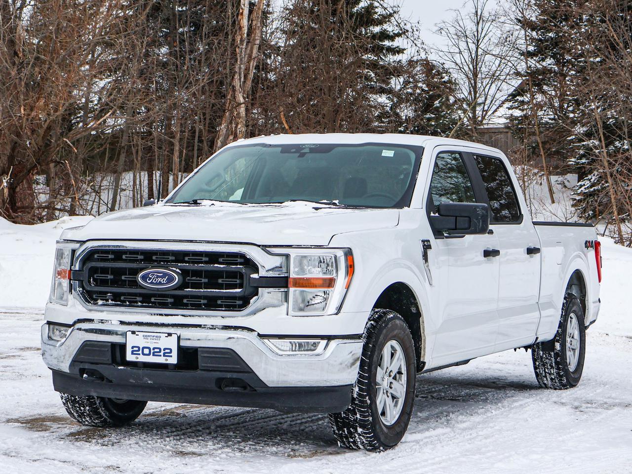 2022 Ford F-150 XLT Photo