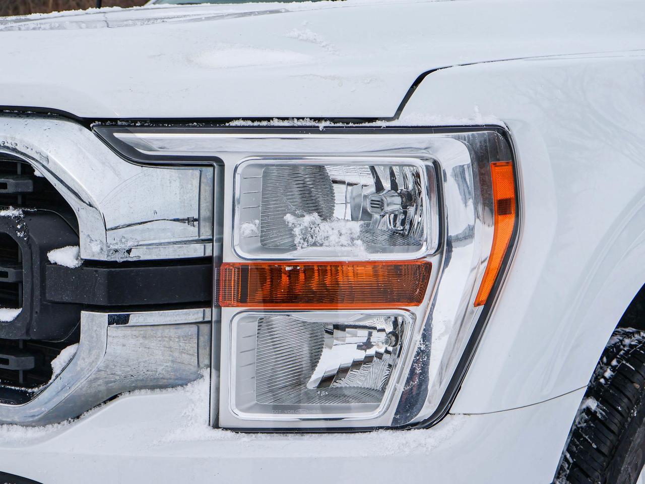 2022 Ford F-150 XLT Photo