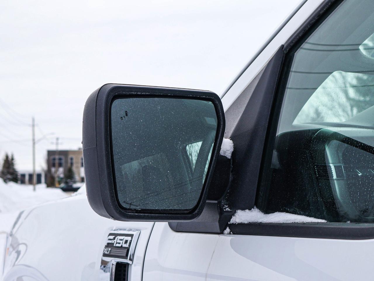 2022 Ford F-150 XLT Photo