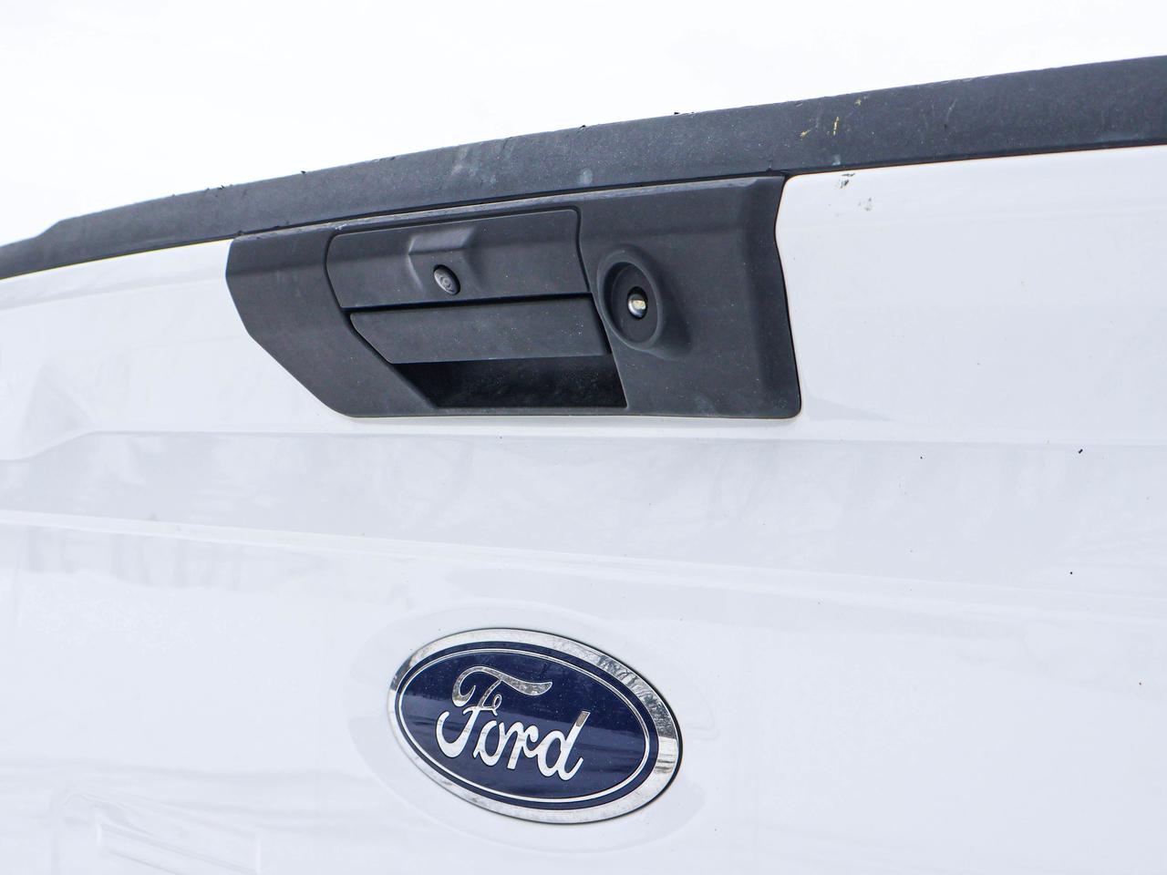 2022 Ford F-150 XLT Photo