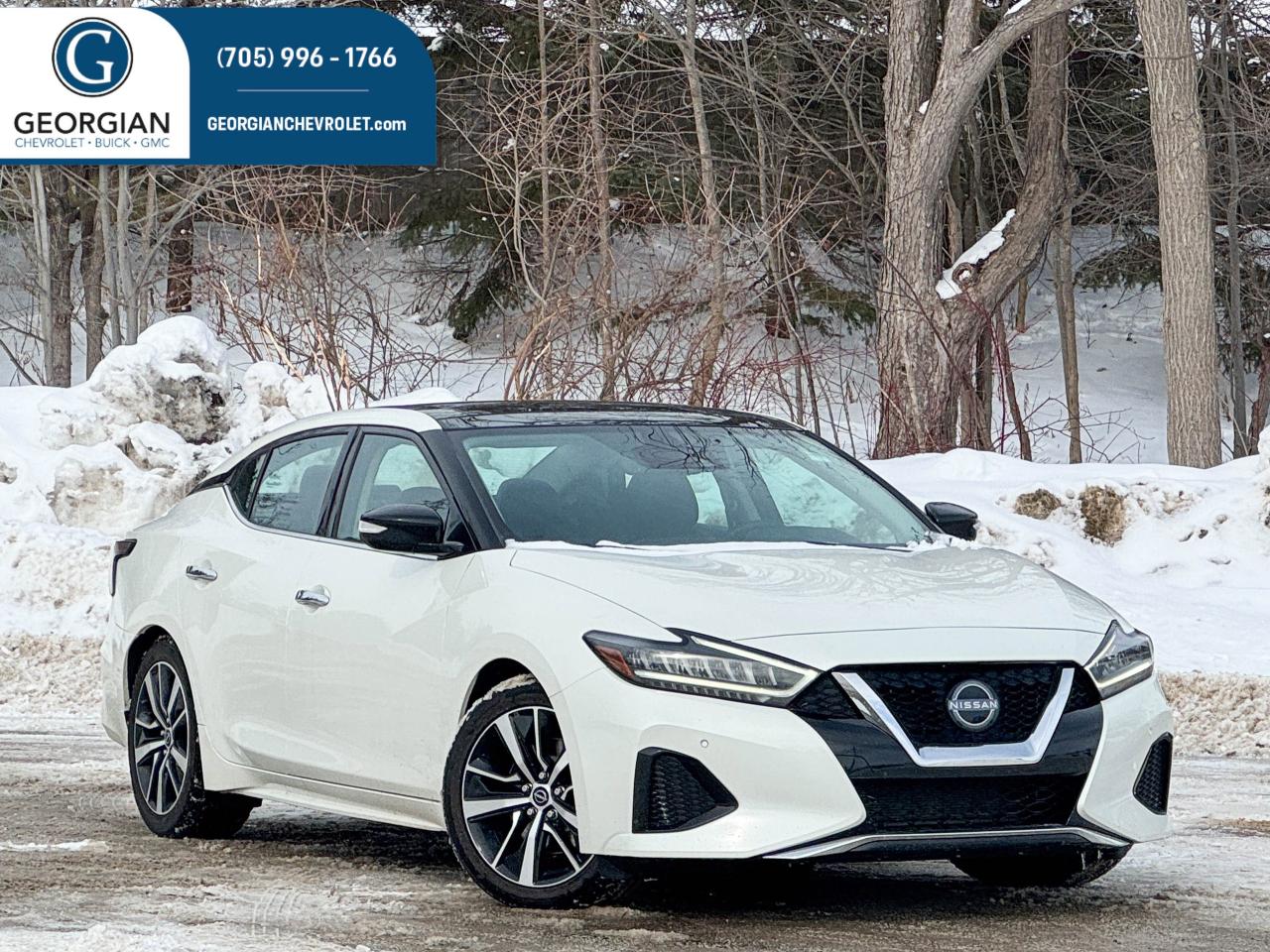 2023 Nissan Maxima SL Photo