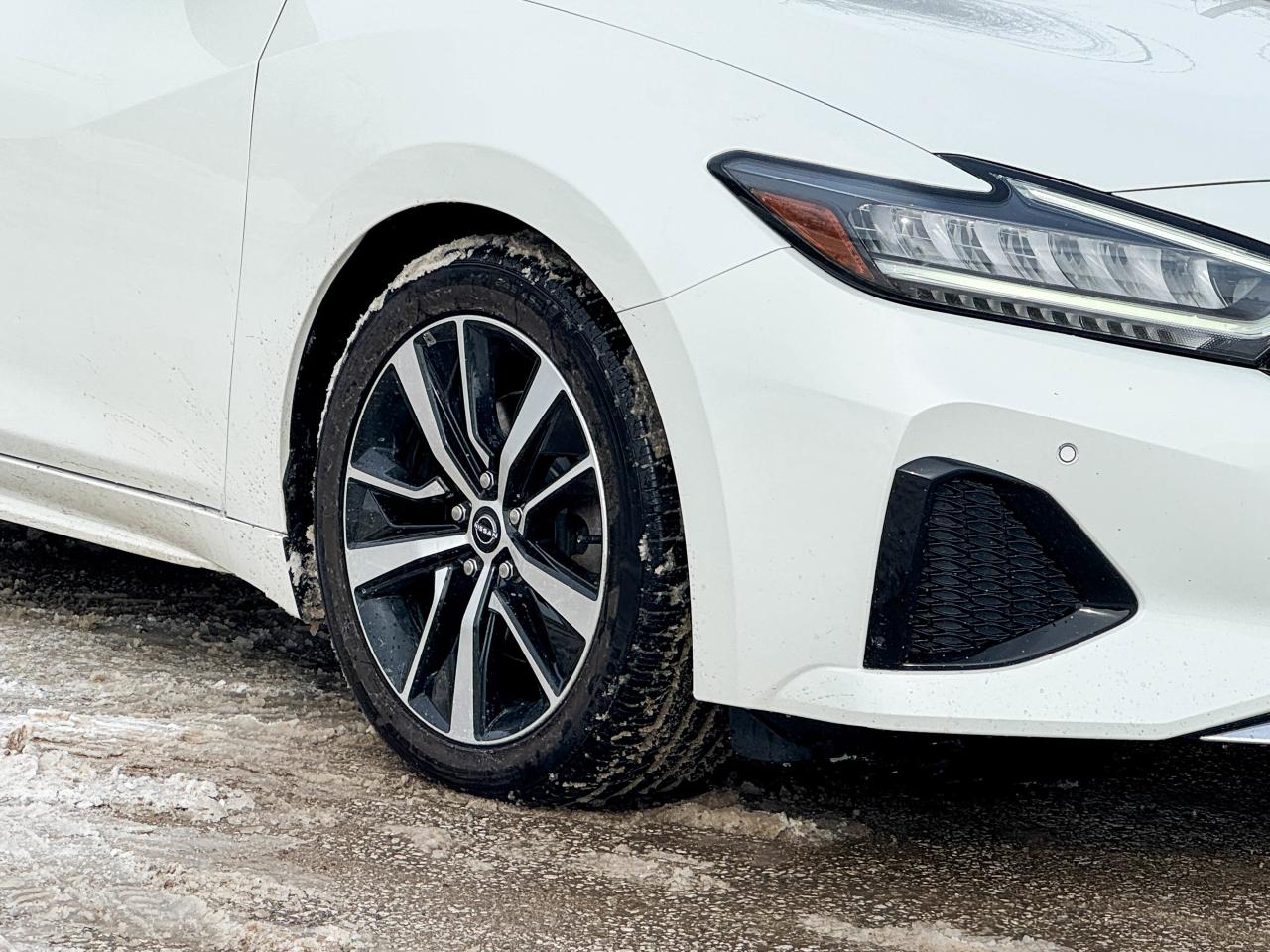 2023 Nissan Maxima SL Photo