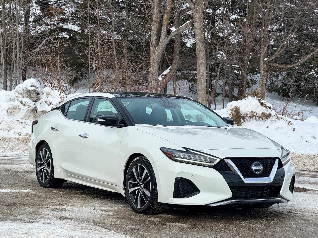 2023 Nissan Maxima SL Photo