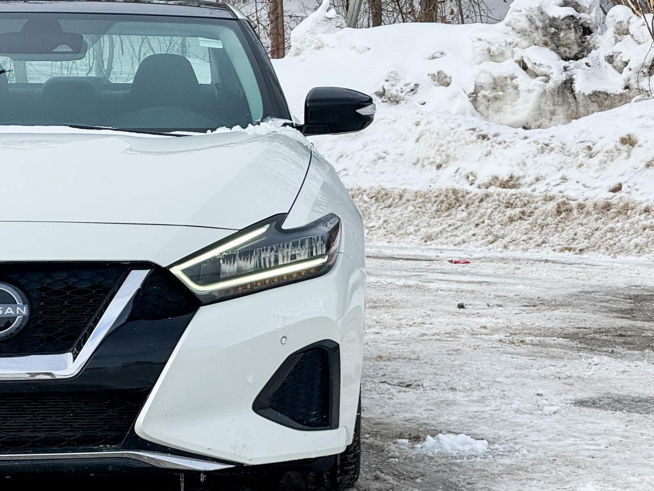 2023 Nissan Maxima SL Photo