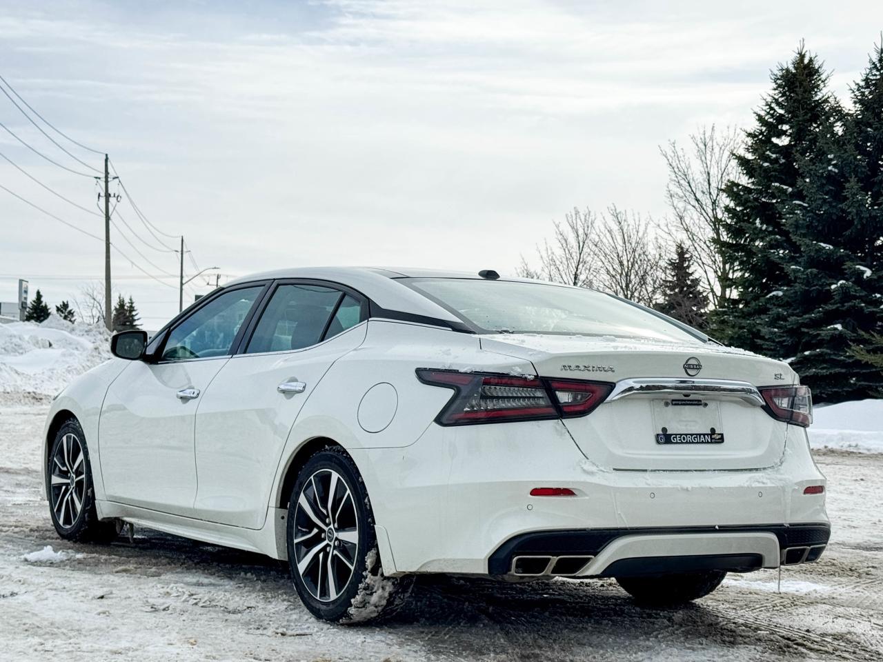 2023 Nissan Maxima SL Photo