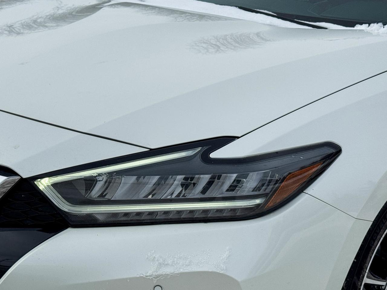 2023 Nissan Maxima SL Photo