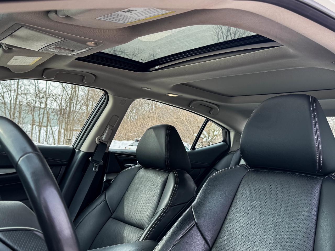 2023 Nissan Maxima SL Photo