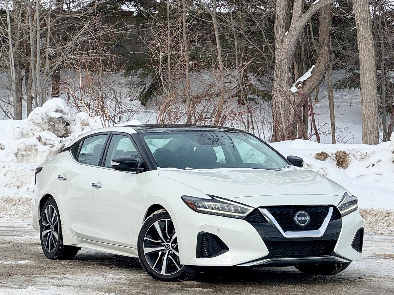 2023 Nissan Maxima SL Photo