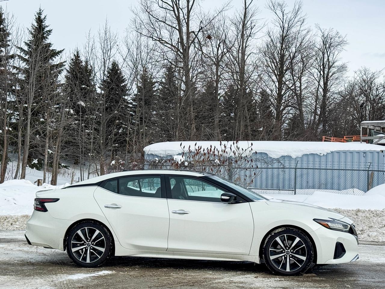2023 Nissan Maxima SL Photo4