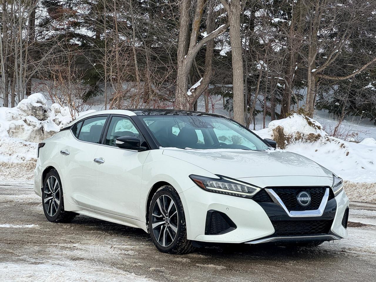 2023 Nissan Maxima SL Photo2