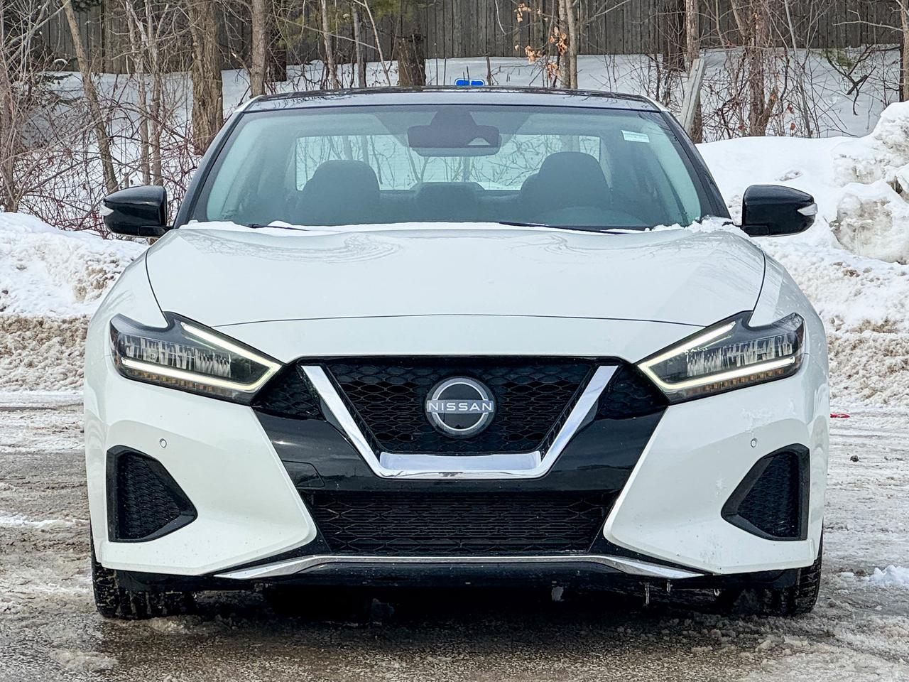 2023 Nissan Maxima SL Photo