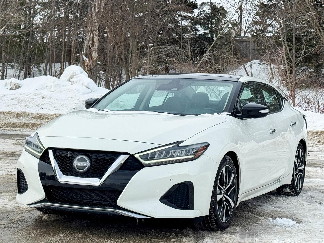 2023 Nissan Maxima SL Photo